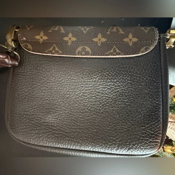 Louis Vuitton Designer Brown Crossbody Bag - Picture 4 of 15